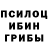 Галлюциногенные грибы GOLDEN TEACHER Niksan otmor