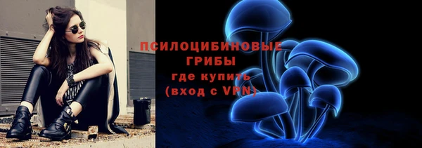 ГАЛЛЮЦИНОГЕННЫЕ ГРИБЫ Алзамай