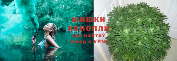 ГАЛЛЮЦИНОГЕННЫЕ ГРИБЫ Алзамай