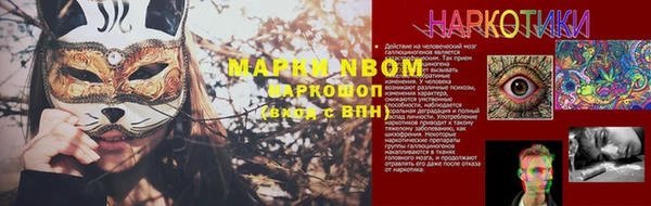 ГАЛЛЮЦИНОГЕННЫЕ ГРИБЫ Алзамай