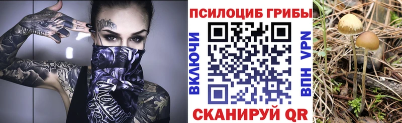 Псилоцибиновые грибы мухоморы  darknet какой сайт  Самара  купить закладку 