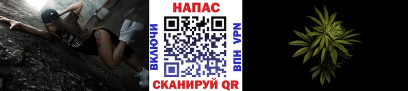 продажа наркотиков  Самара  Канабис тримм 